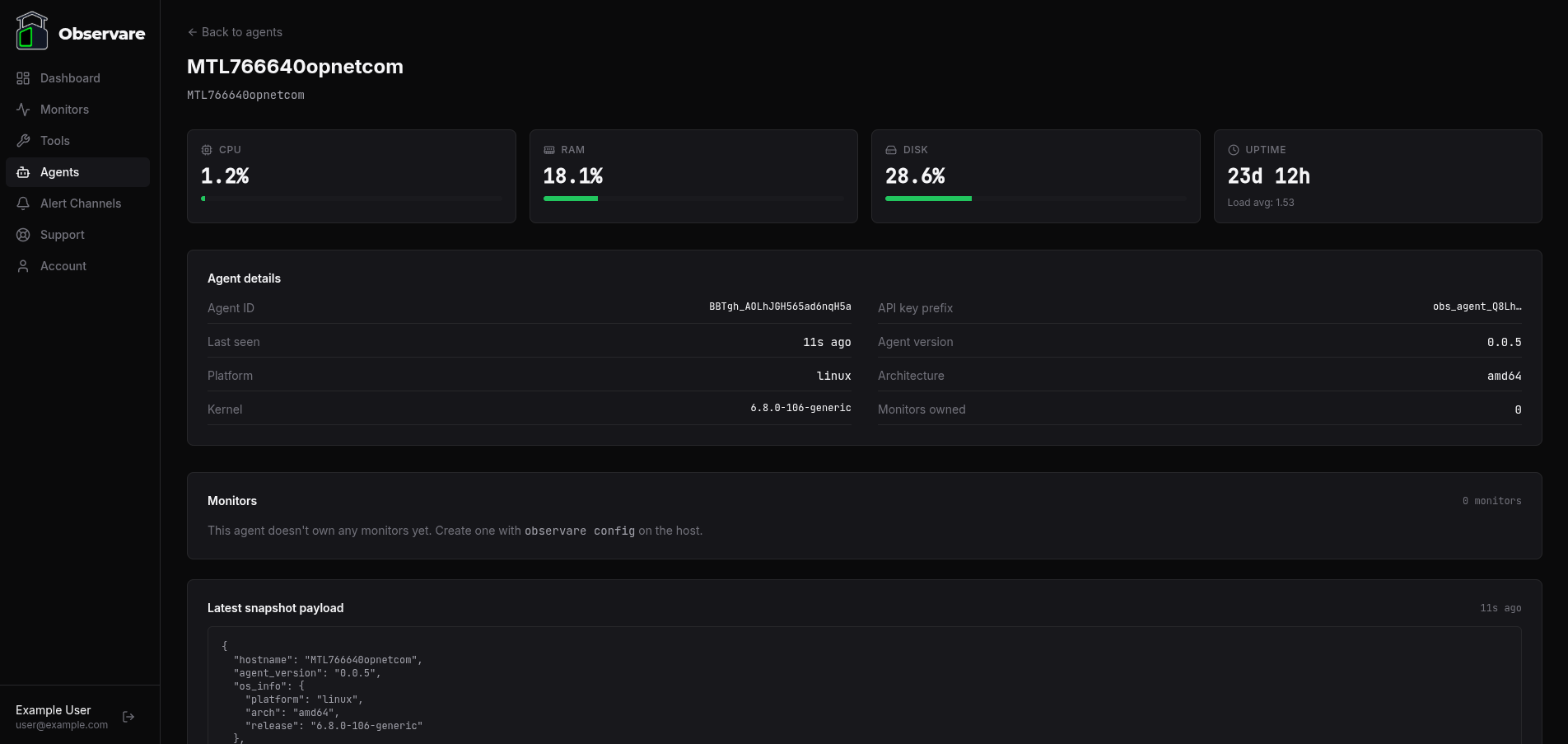The Agent detail page in the web UI showing live CPU, RAM, and disk gauges, system details, and the agent's monitors table
