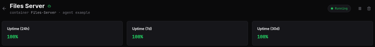 The Docker monitor detail page header showing the monitor name, status pill, Pause button, and Delete button