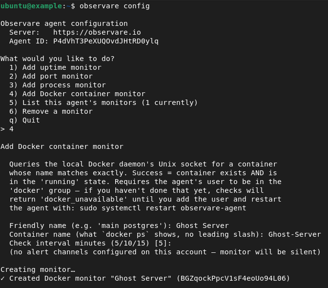 A terminal running the observare config Add Docker container monitor flow, showing the prompts for friendly name, container name, check interval, and alert channels, ending with the ✓ Created docker monitor success line