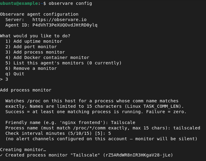 A terminal running the observare config Add process monitor flow, showing the prompts for friendly name, process name, check interval, and alert channels, ending with the ✓ Created process monitor success line
