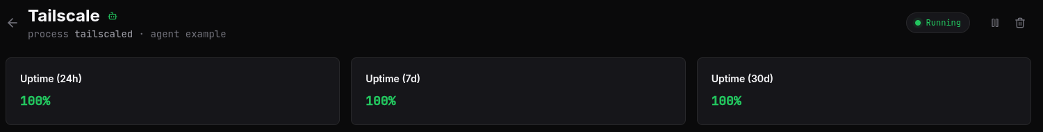 The Process monitor detail page header showing the monitor name, status pill, Pause button, and Delete button