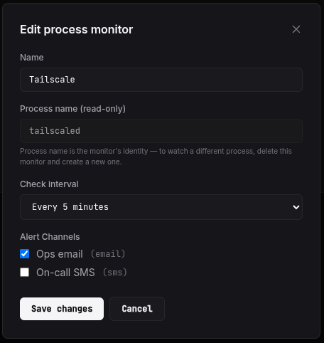 The Process monitor edit modal showing the editable name and check-interval fields plus the alert-channel checklist