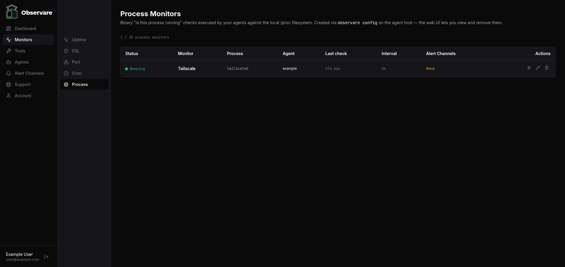 The Process monitor list page in the web UI showing a freshly-created monitor at the top with its status, agent, and alert channel columns
