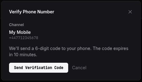 The verification code entry window after clicking Send Verification Code